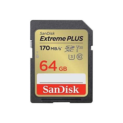 SanDisk Extreme PLUS SD-Karte. Goldene Oberfläche mit roter Schrift: 64 GB, 170 MB/s. Schwarzer Rand, SanDisk Logo.