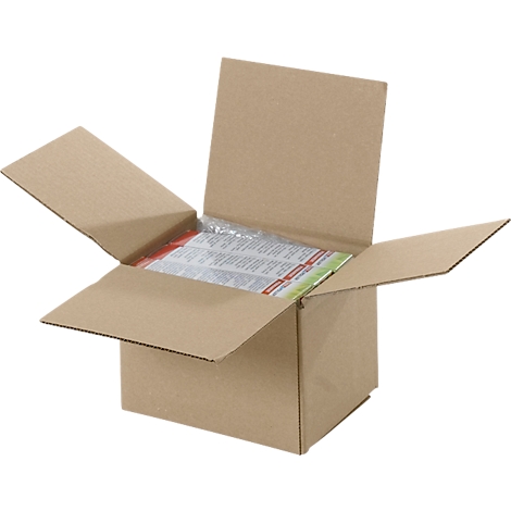 Offener Karton aus brauner Pappe. Darin: verpackte Papiere mit Text.