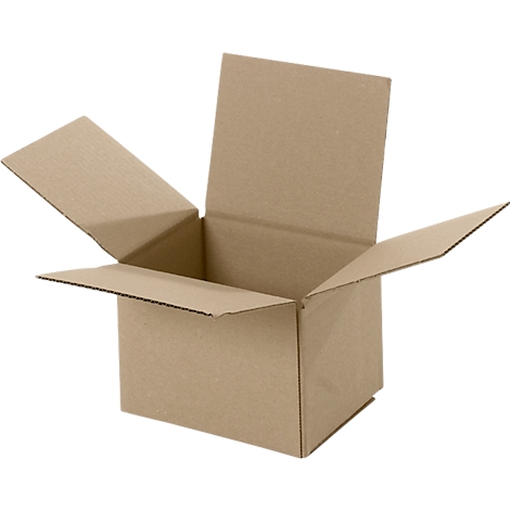 Geöffnete braune Kartonbox mit hochgeklappten Deckelklappen.
