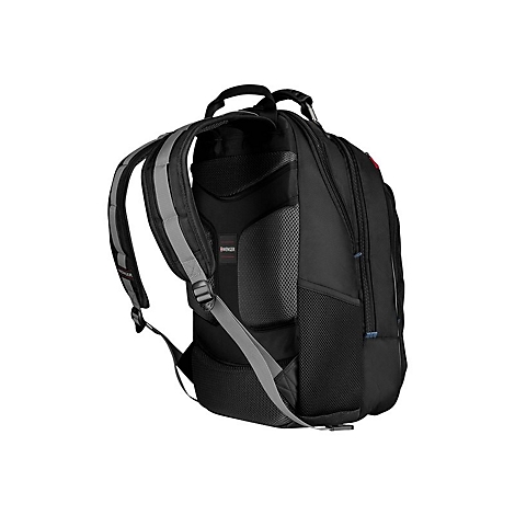 Schwarzer Rucksack mit grauen Schultergurten und RÃ¼ckenpolsterung.