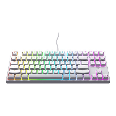Hellgraue mechanische Tastatur mit weißen Tasten und RGB-Beleuchtung. Die Tastatur ist vor weißem Hintergrund abgebildet.