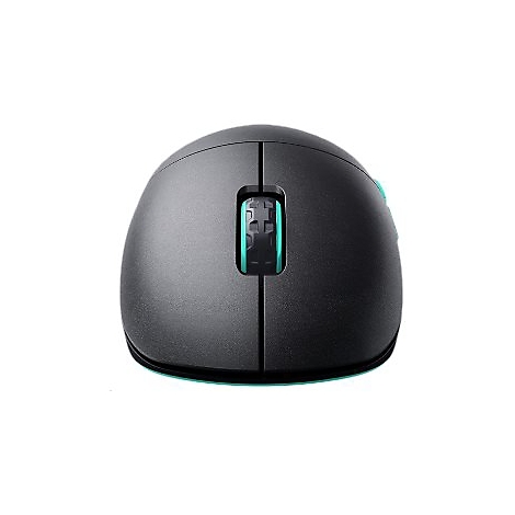 Draufsicht auf eine schwarze Computermaus mit grünem Scrollrad und Akzenten.