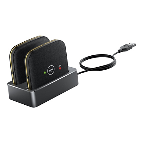 Zwei schwarze Mikrofon-Einheiten in einer grauen Ladestation mit USB-Kabel auf weißem Hintergrund.