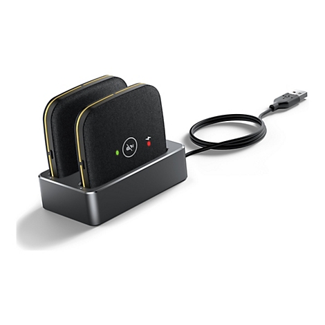 Zwei schwarze, rechteckige Mikrofone mit goldfarbenen Rändern in einer Ladestation, USB-Kabel.