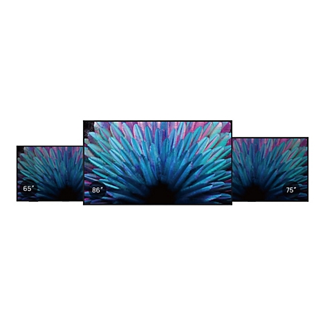 Drei Fernseher mit Blumendesign, Größenangaben: 65", 86", 75".