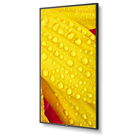 Close-up van een gele bloem met waterdruppels. De achtergrond is rood, de bloem is omgeven door een zwart frame.