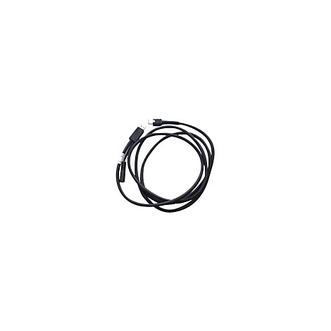 Un câble noir avec plusieurs connecteurs posés sur fond blanc.