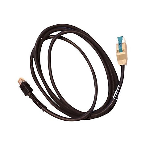 Câble noir avec connecteur RJ45, connecté à un connecteur beige avec une étiquette bleue "12V".