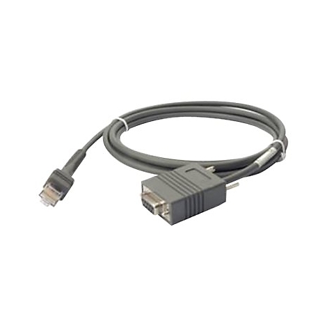 Graues Adapterkabel mit einem RJ45-Stecker an der einen und einem seriellen DB9-Stecker an der anderen Seite.