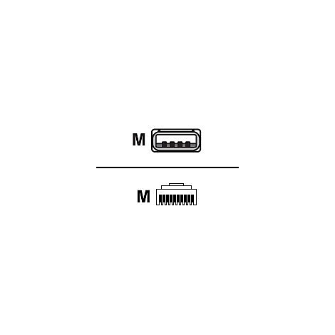 Zwei Piktogramme auf weißem Grund. Oben ein USB-C-Anschluss, darunter ein Ethernet-Anschluss.