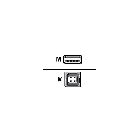 Grafische Darstellung zweier USB-Anschlüsse, markiert mit dem Buchstaben M.
