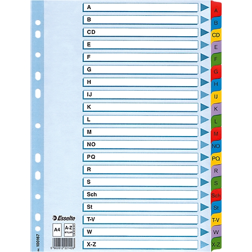 Esselte Karton-Register Mylar, verschiedene Ausführungen, einzeln