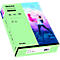  PROD Artikel Suche Benutzer On-Boarding Core-Data Export Logout Papier couleur tecno Colors, format A4, 120 g/m², vert moyen, paquet de 250 feuilles