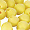 3M Ersatzst√∂psel E-A-RCaps, EN 352-2, SNR 23 dB, PSA III, gelb, L 17 dB, M 19 dB, H 27 dB, 10 Stück