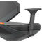Accoudoirs multifonctions ESD Texon, noir, 1 paire