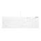 Active Key AK-C8112 - Tastatur - medizinisch - 100% - full size - waschbar