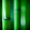 akoestisch fotopaneel, Bamboe, 1500x1500 mm