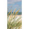 akoestisch fotopaneel, grassen, 800 x 1600 mm