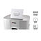 Aktenvernichter Dahle PaperSAFE 420, Partikelschnitt 2 x 15 mm, P-5, 25 l, 10 Blatt Schnittleistung, B 443 x T 273 x H 545 mm