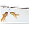 Akustikbild, Querformat, B 800 x H 1600 mm, Schallabsorptionsklasse A, 2-lagig, Polyestervlies & Aluminium, Motiv Goldfische