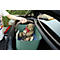 Person lifting a green box with teddy bear and toys out of the trunk.