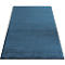 Alfombra antisuciedad Eazycare Aqua, secado rápido, resistente a los colores y a los rayos UV, ancho 1200 x largo 2400 mm, olefina, azul