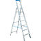 A silver aluminum stepladder with blue accents. The rungs are clearly visible, as is the blue footrest.