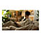 Amazon Kindle Scribe - 1. Generation - eBook-Reader - 16 GB - 25.9 cm (10.2') einfarbig - Touchscreen