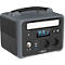 ANSMANN Powerstation PS600AC, 2x AC-aansluiting 600 W, 1x USB-C, 2× USB-A, 1× USB-A QC, 4 oplaadmogelijkheden, LED-lamp, draaggreep, zwart