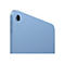 Apple 10.9-inch iPad Wi-Fi - 10. Generation - Tablet - 256 GB - 27.7 cm (10.9') IPS (2360 x 1640) - Blau