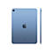 Apple 10.9-inch iPad Wi-Fi - 10. Generation - Tablet - 256 GB - 27.7 cm (10.9') IPS (2360 x 1640) - Blau