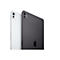 Apple 11-inch iPad Pro M4 Wi-Fi + Cellular - Tablet - 1 TB - 27.9 cm (11') Tandem OLED (2420 x 1668) - 3G, 4G, 5G - Silber