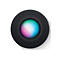 Apple HomePod mini - Smart-Lautsprecher - Wi-Fi, Bluetooth - App-gesteuert - Midnight