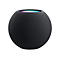 Runder, schwarzer Smart Speaker mit gewebter Oberfläche und farbigem Licht oben.