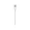 Weißer USB-A-Stecker an einem weißen Kabel vor neutralem Hintergrund.