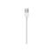 Weißes USB-A-Kabel mit Metallstecker vor neutralem Hintergrund.