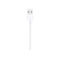 Ein weißes USB-Kabel mit Stecker und dem Symbol für den USB-Anschluss. Der Hintergrund ist weiß.
