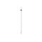Apple Pencil blanc sur fond blanc. Texte en haut: "Pencil".