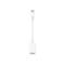 Câble adaptateur USB-C vers USB blanc sur fond blanc.