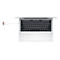 Apple USB-C to SD Card Reader - Kartenleser (SD UHS-II) - USB-C