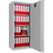 Armario de seguridad Paper Star Pro 4, gris claro RAL 7035