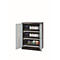 Armario para productos químicos asecos CS-CLASSIC-G, puertas batientes con recorte de cristal, frontal gris claro, ancho 810 x fondo 520 x alto 1105 mm
