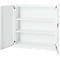 Armoire de bureau, 3OH, verrouillable, avec portes en applique, L 1200 mm, blanc trafic