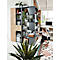 Armoire de bureau TEMPIO, en bois, 2 portes, 6 OH, L 400 x P 340 x H 2130 mm, anthracite/chêne caryer