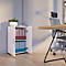 Armoire de classement Ulas, 2 hauteurs de classeurs, 1 tablette, pour env. 14 classeurs, portes battantes, L 490 x P 340 x H 740 mm, bois, blanc