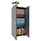 Armoire de classement Ulas, 3 hauteurs de classeurs, 2 tablettes, pour env. 21 classeurs, portes battantes, L 490 x P 340 x H 1080 mm, bois, anthracite