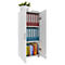 Armoire de classement Ulas, 3 hauteurs de classeurs, 2 tablettes, pour env. 21 classeurs, portes battantes, L 490 x P 340 x H 1080 mm, bois, blanc