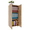 Armoire de classement Ulas, 3 hauteurs de classeurs, 2 tablettes, pour env. 21 classeurs, portes battantes, L 490 x P 340 x H 1080 mm, bois, chêne miel