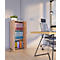 Armoire de classement Ulas, 3 hauteurs de classeurs, 2 tablettes, pour env. 21 classeurs, portes battantes, L 490 x P 340 x H 1080 mm, bois, chêne miel