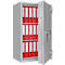 Armoire de sécurité pour documents Paper Star Duplex Pro 3, gris clair
